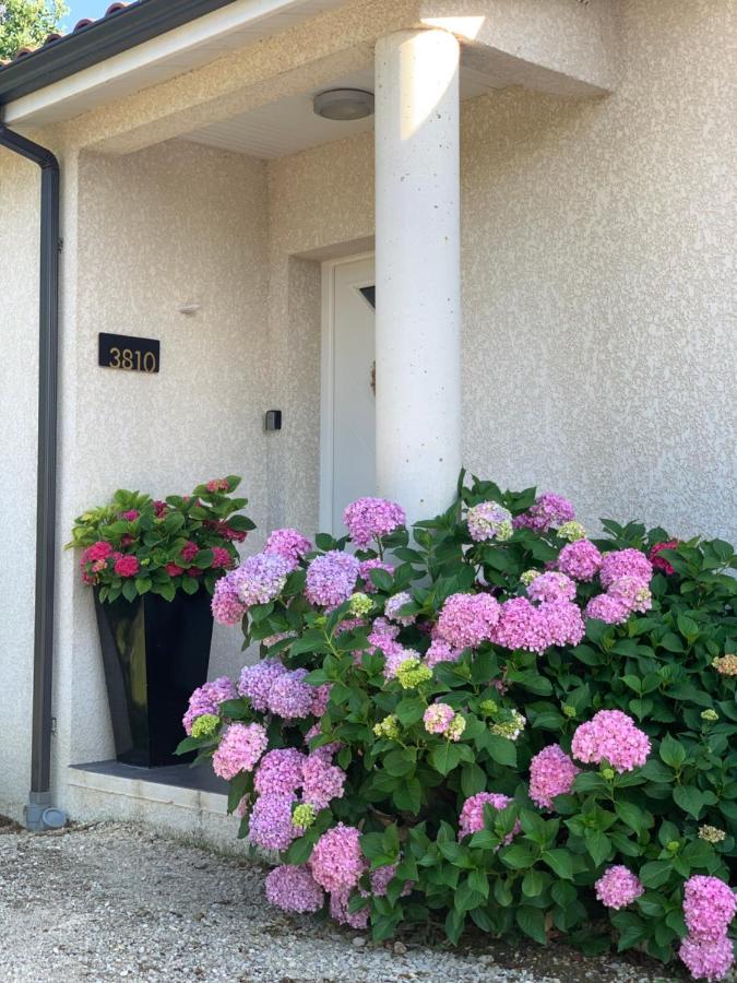 La Maison D'Isabel Montauban Zewnętrze zdjęcie